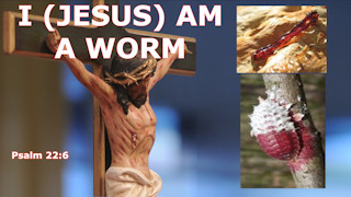 What does it mean that Jesus is a worm, Psalm 22:6?